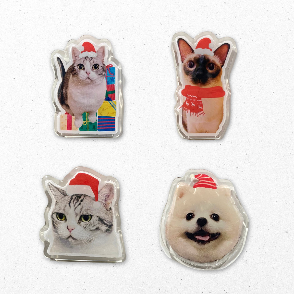 Custom Pet Portrait Magnets