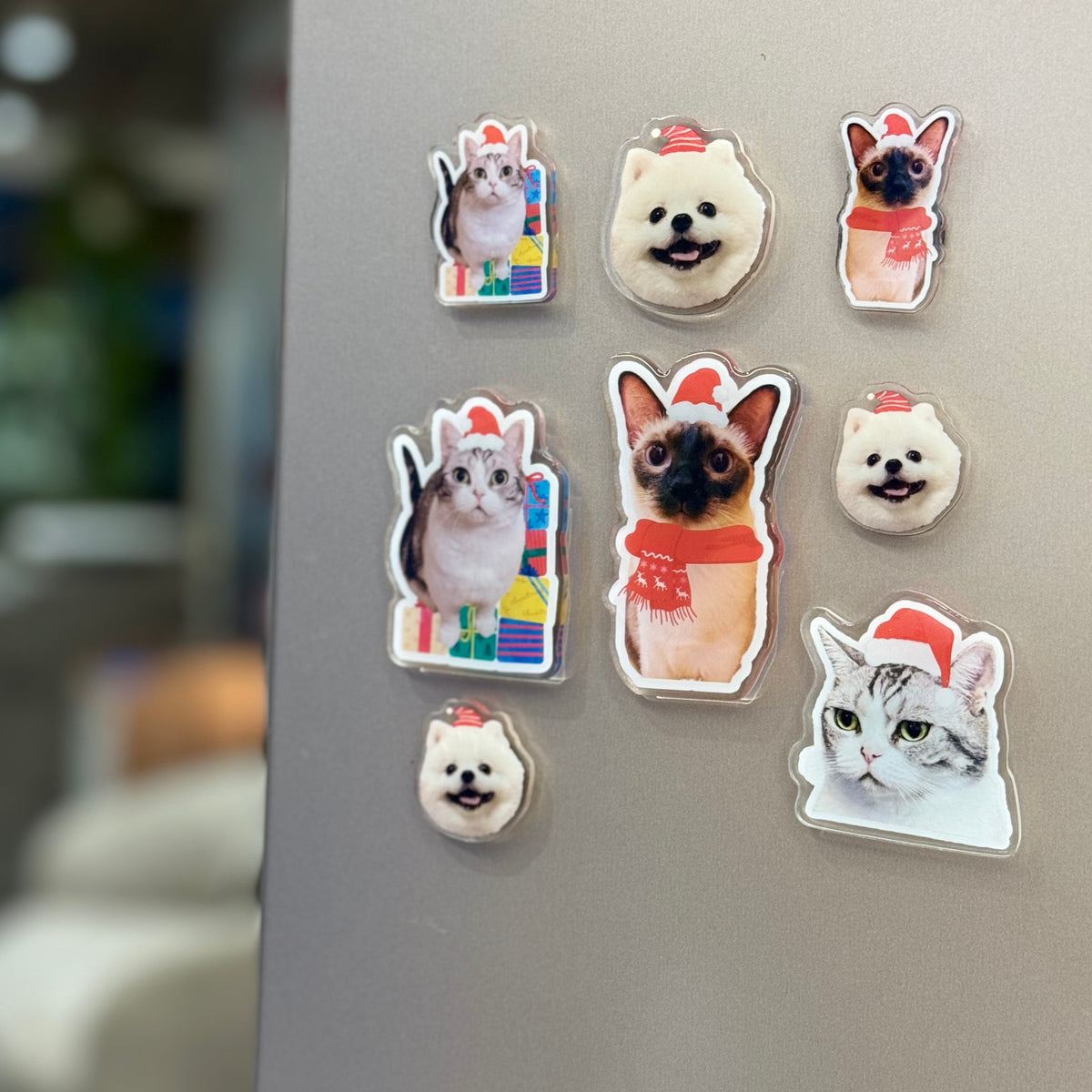 Custom Pet Portrait Magnets